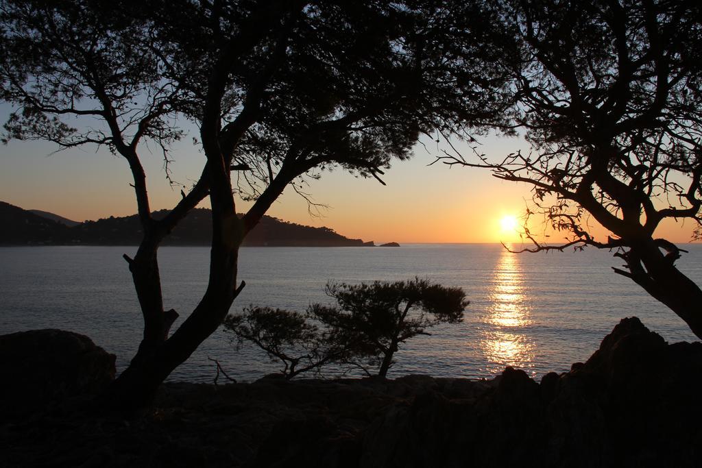 Auberge Du Cap Negre Льо Лаванду Екстериор снимка