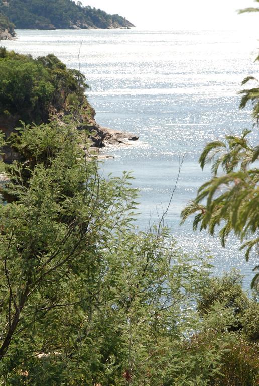 Auberge Du Cap Negre Льо Лаванду Екстериор снимка