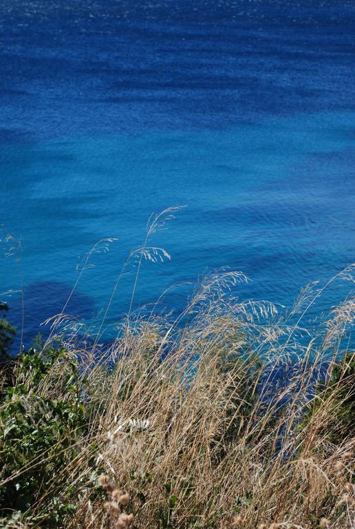 Auberge Du Cap Negre Льо Лаванду Екстериор снимка